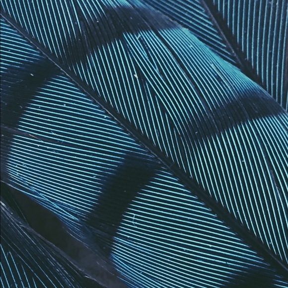 Meet your Posher, Liz - Picture 1 of 1